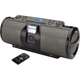 Illustration for article titled iLive iPod Boombox: Cheap, Loaded